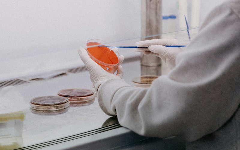 TGFB3 Protein: Unraveling the Role of Transforming Growth Factor Beta 3 in Development and Disease