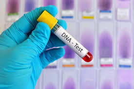 Photo DNA Test App: Visual Ancestry and Family Connection Finder