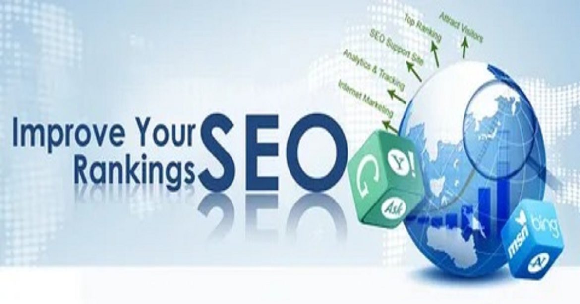 Building a Career as an BDM SEO Expert in Pakistan in 2024