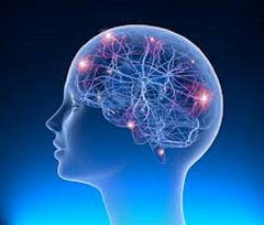 Gabapentin 100mg and 800mg: Personalized Dosage for Optimal Seizure Control