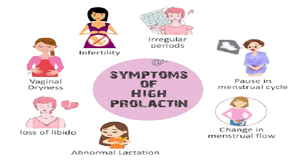 Five Useful Supplements to Control High Prolactin Levels