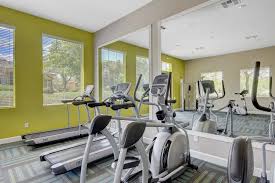 Spiritual Fitness Journeys: Inspirational Stories from Reno Residents