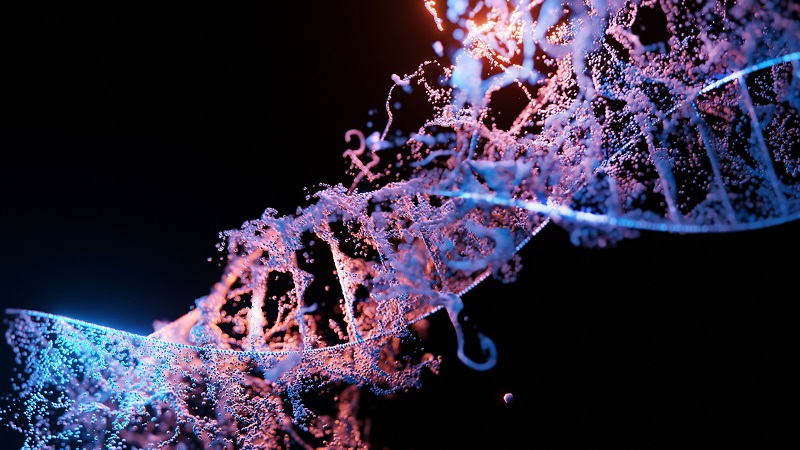 Creative Biostructure Offers High-resolution Techniques for DNA Structure Characterization