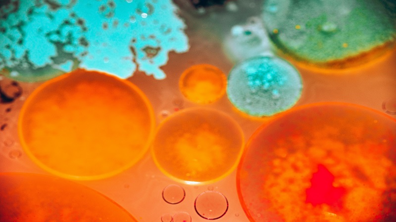 Confocal Raman Microscope: Exploring the Molecular World with Precision